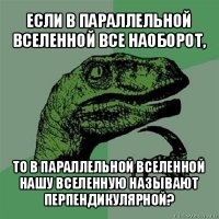 если в параллельной вселенной все наоборот, то в параллельной вселенной нашу вселенную называют перпендикулярной?