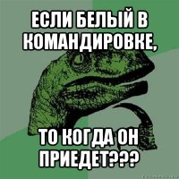 если белый в командировке, то когда он приедет???