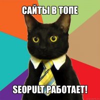 сайты в топе seopult работает!