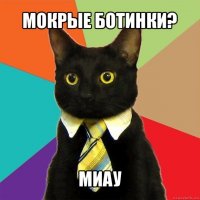 мокрые ботинки? миау