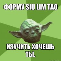 форму siu lim tao изучить хочешь ты.