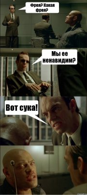 Фрея? Какая фрея? Мы ее ненавидим? Вот сука!