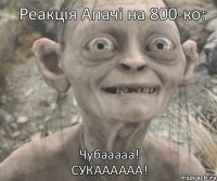 Чубааааа!
СУКАААААА! Реакція Апачі на 800-ко: