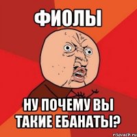 фиолы ну почему вы такие ебанаты?