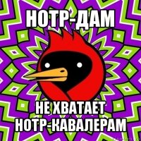 нотр-дам не хватает нотр-кавалерам