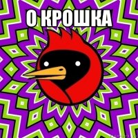 о крошка 