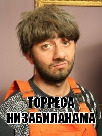 Торреса низабиланама