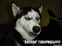 "васкан" говоришь???