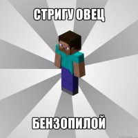 стригу овец бензопилой