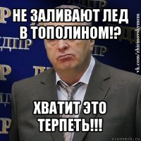 не заливают лед в тополином!? хватит это терпеть!!!