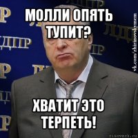 молли опять тупит? хватит это терпеть!