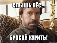 слышь пёс... бросай курить!