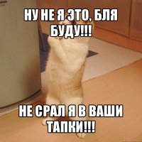 ну не я это, бля буду!!! не срал я в ваши тапки!!!