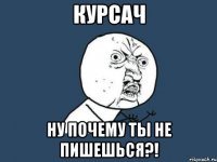 курсач ну почему ты не пишешься?!