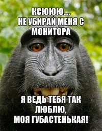 ксююю....
не убирай меня с монитора я ведь тебя так люблю,
моя губастенькая!