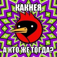 какнея а кто же тогда?