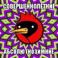 совершеннолетние абсолютнозимние