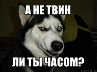 а не твин ли ты часом?