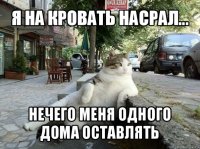 я на кровать насрал... нечего меня одного дома оставлять