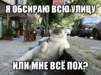 я обсираю всю улицу или мне всё пох?