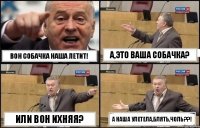 ВОН СОБАЧКА НАША ЛЕТИТ! А,ЭТО ВАША СОБАЧКА? ИЛИ ВОН ИХНЯЯ? А НАША УЛЕТЕЛА,БЛЯТЬ,ЧОЛЬ??!