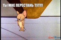 Ты мне перестань тут!!!