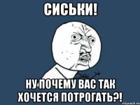 сиськи! ну почему вас так хочется потрогать?!