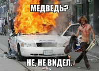 медведь? не, не видел.