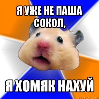 я уже не паша сокол, я хомяк нахуй