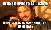 нельзя просто так взять и приказать мухам никогда не прилетать