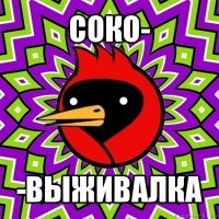 соко- -выживалка