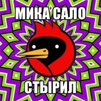 мика сало стырил