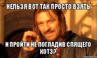 нельзя вот так просто взять и пройти не погладив спящего котэ?