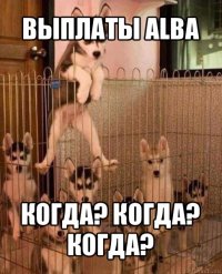 выплаты alba когда? когда? когда?