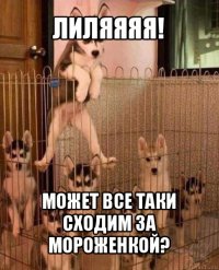 лиляяяя! может все таки сходим за мороженкой?