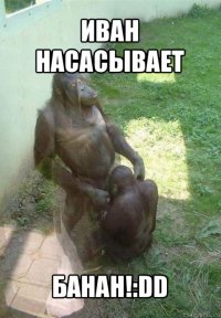 иван насасывает банан!:dd