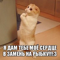  я дам тебе моё сердце в замень на рыбку!!!:3