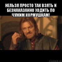 нельзя просто так взять и безнаказанно ходить по чужим кормушкам! 