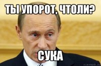 ты упорот, чтоли? сука