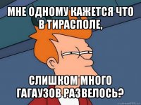 мне одному кажется что в тирасполе, слишком много гагаузов развелось?