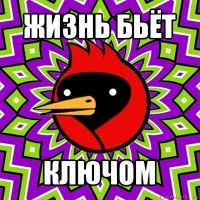 жизнь бьёт ключом