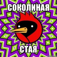 соколиная стая