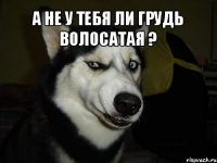 А не у тебя ли грудь волосатая ? 