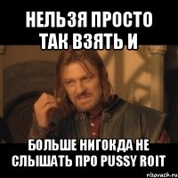 нельзя просто так взять и больше нигокда не слышать про pussy roit