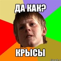 да как? крысы