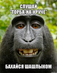 слушай "торба-на-круче" бахайся шашлыком