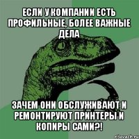 если у компании есть профильные, более важные дела зачем они обслуживают и ремонтируют принтеры и копиры сами?!