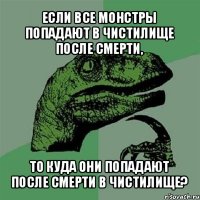 если все монстры попадают в чистилище после смерти, то куда они попадают после смерти в чистилище?