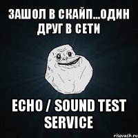 зашол в скайп...один друг в сети echo / sound test service