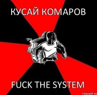 Кусай комаров fuck the system